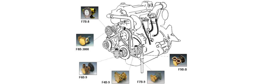 Seawater Pumps